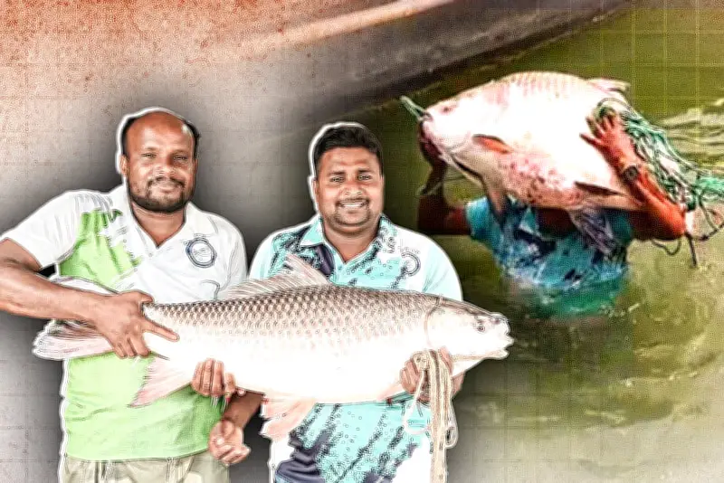 বাংলাদেশে অনলাইন শিক্ষার নতুন দিগন্ত: প্রযুক্তির মাধ্যমে শিক্ষার প্রসার