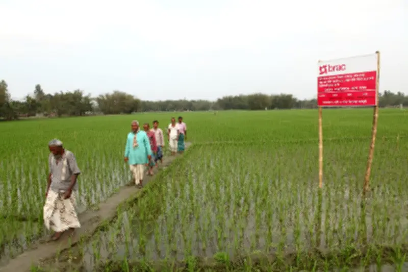 ব্র্যাকের ৫৩ কোটি টাকার বিশেষ কর্মসূচি: কৃষকদের পাশে জলবায়ু পরিবর্তন মোকাবিলায়