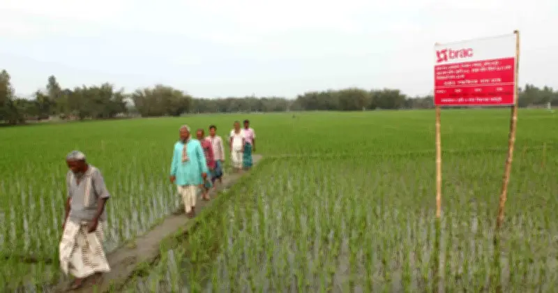 ব্র্যাকের ৫৩ কোটি টাকার কৃষি ও সামাজিক উদ্যোগ, ১ লাখ ৩ হাজার কৃষক পাবেন প্রশিক্ষণ
