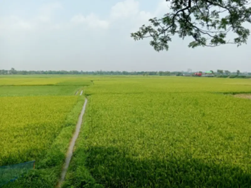 প্রচণ্ড গরমে আদি পদ্ধতি ও বৈশাখী উৎসবের স্মৃতি: নাগরিক সংবাদের আলোকচিত্র