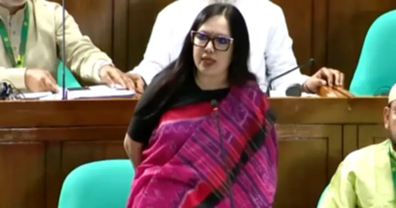 রুমিন ফারহানার উদ্বেগ: দেশ 'মবের শহরে' পরিণত, বিচারহীনতা বাড়াচ্ছে গণপিটুনি