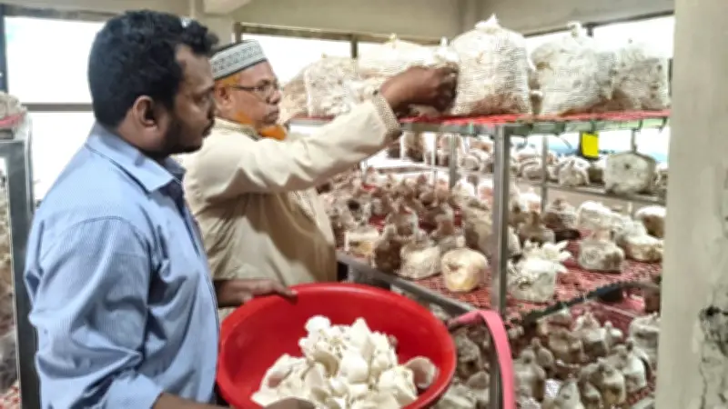 জেলেদের চাল কম দেওয়া, মাশরুম চাষীদের হতাশা ও ইয়াবা ব্যবসায় রূপমের কারাদণ্ড