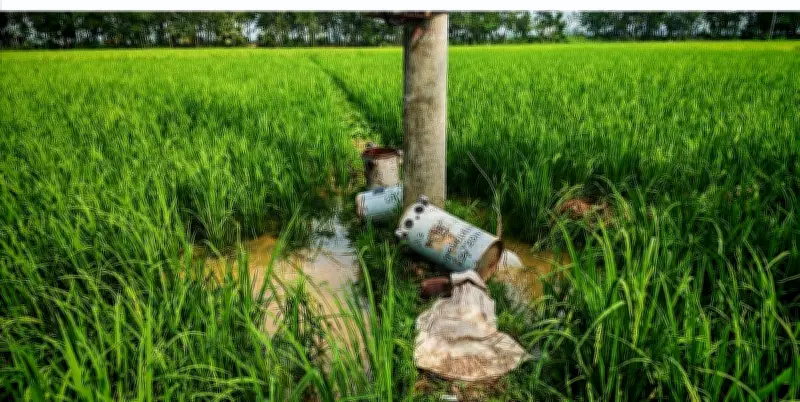 জয়পুরহাটে নলকূপ পাহারাদারকে মারধর করে ট্রান্সফরমারের তামার তার চুরি