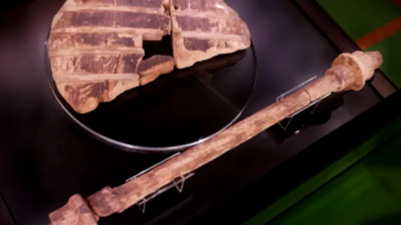 ৫,২০০ বছরের পুরোনো: বিশ্বের প্রাচীনতম কাঠের চাকার রহস্য ও আবিষ্কারের ইতিহাস