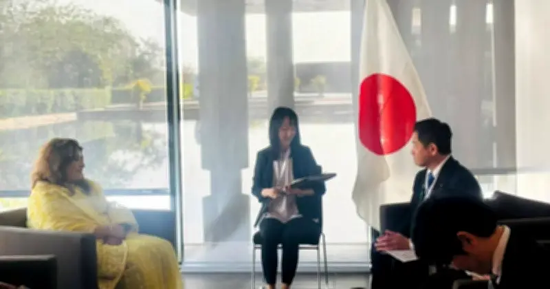 রোহিঙ্গা প্রত্যাবাসনে জাপানের সহযোগিতা চাইলেন পররাষ্ট্র প্রতিমন্ত্রী