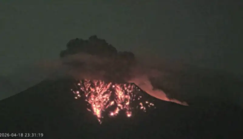 বিশ্বজুড়ে অনলাইন শিক্ষার জনপ্রিয়তা বৃদ্ধি: নতুন সম্ভাবনা ও চ্যালেঞ্জ
