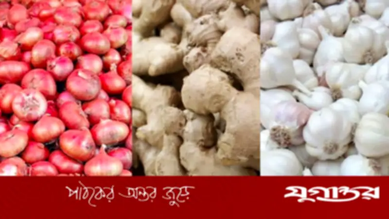 জ্বালানি তেলের দাম বৃদ্ধিতে নিত্যপণ্যের বাজারে লাগামছাড়া মূল্যবৃদ্ধি