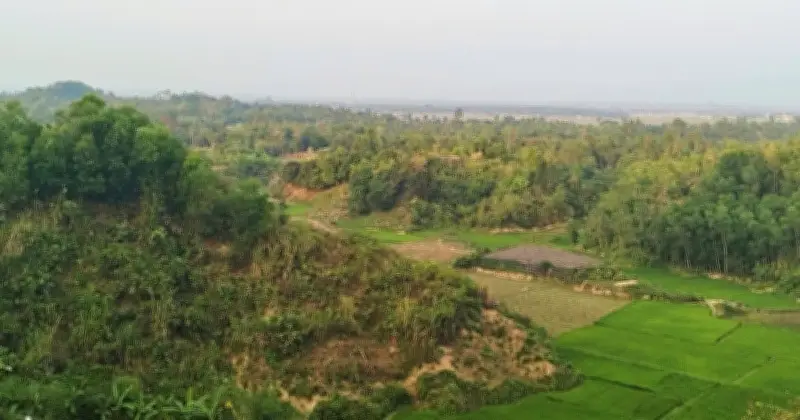 টেকনাফের পাহাড়ে তিন যুবকের রক্তাক্ত মরদেহ উদ্ধার, পুলিশের তদন্ত চলছে