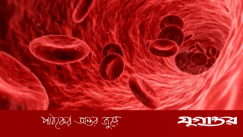 রক্তে আয়রনের ঘাটতি বাড়ায় স্মৃতিভ্রমের ঝুঁকি, সুইডিশ গবেষণায় উদ্বেগ