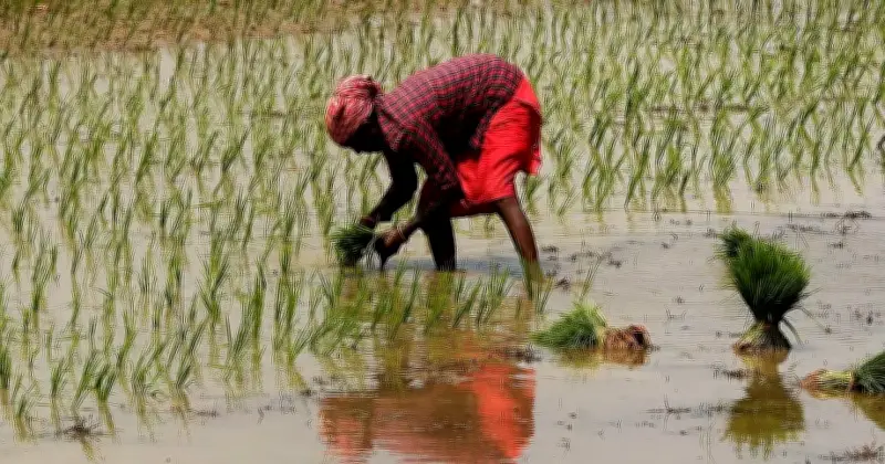 মধ্যপ্রাচ্য সংঘাতে গ্যাস সরবরাহ ব্যাহত, ভারতে সার উৎপাদন মার্চে ২৪.৬% কমেছে
