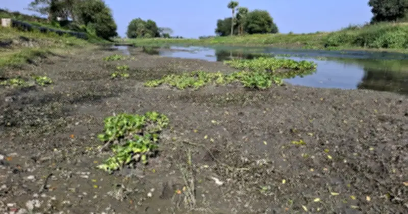বলুয়া খালের নাব্যতা সংকটে বিপর্যস্ত গোপালগঞ্জের ব্যবসা-বাণিজ্য ও কৃষি