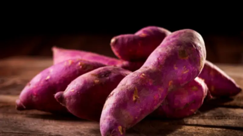 খাদ্য শিল্পে নতুন উদ্ভাবন: হাল ফ্যাশনের সর্বশেষ রিপোর্ট বিশ্লেষণ