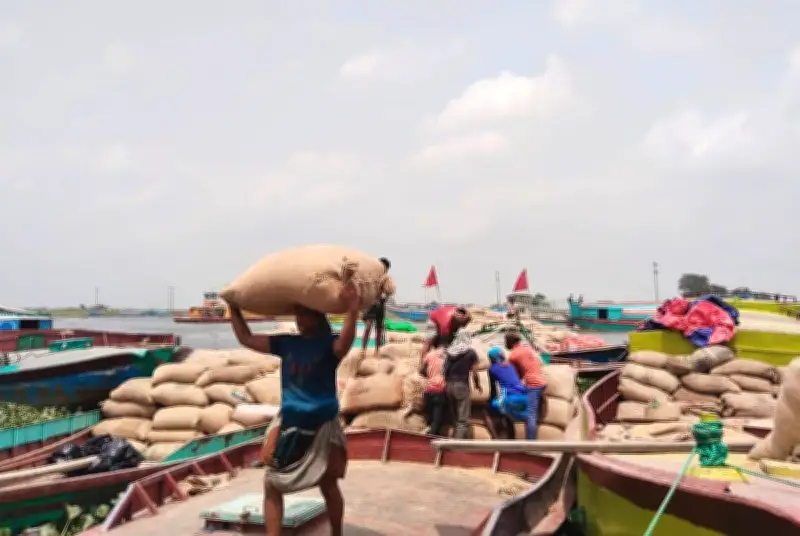 কিশোরগঞ্জ হাওরে বোরো ধান মাড়াই শুরু, ন্যায্য মূল্য না পেয়ে হতাশ কৃষক