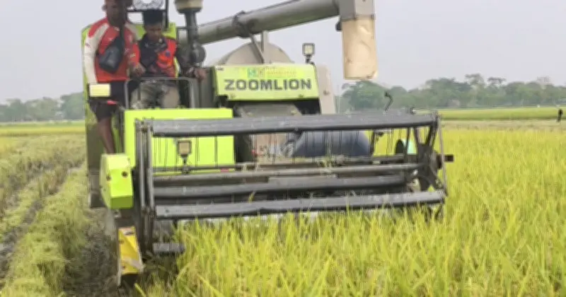 জ্বালানি সংকটে সুনামগঞ্জের কৃষকদের ধান কাটা নিয়ে দুশ্চিন্তা, হারভেস্টার যন্ত্রপাতি অচল