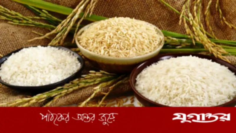 বোরো মৌসুমে ধান-চালের সরকারি দাম নির্ধারণ: ধান ৩৬ টাকা, সিদ্ধ চাল ৪৯ টাকা কেজি