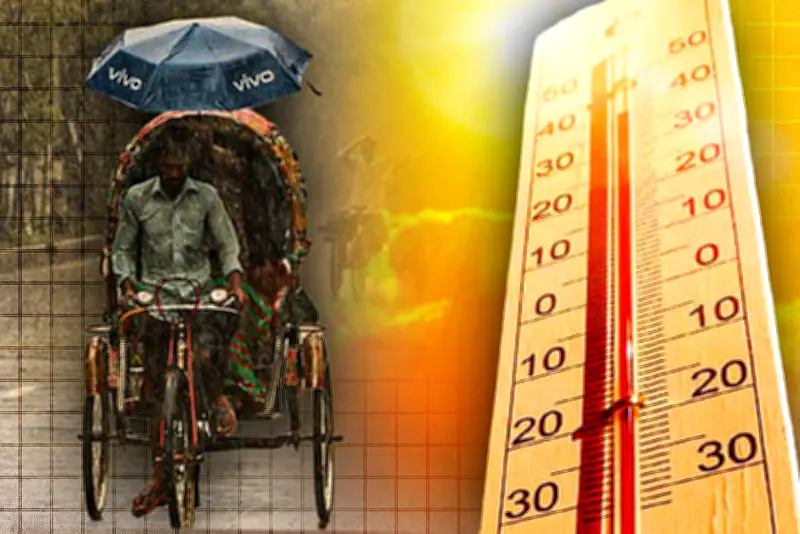 বাংলাদেশের নতুন ভিডিও কন্টেন্ট দর্শকদের মন কাড়ছে