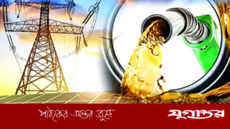 জ্বালানি খাতে টেকসই সমাধানের জন্য আমূল কাঠামোগত সংস্কার জরুরি