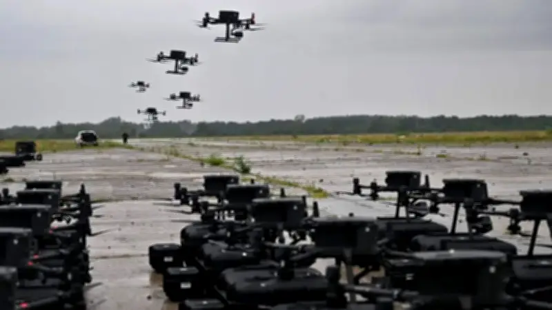 বিএসএফের হাতে দুই কিশোর আটক, ৮ ঘণ্টা পর ফেরত; সৌদিতে ৩০ দালাল গ্রেপ্তার