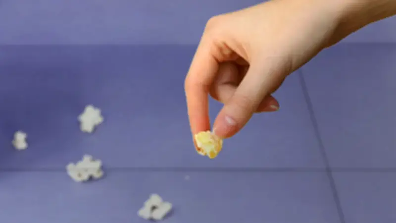 পাঁচ সেকেন্ডের নিয়ম: মেঝেতে পড়া খাবার খাওয়া কি নিরাপদ? গবেষণা যা বলছে