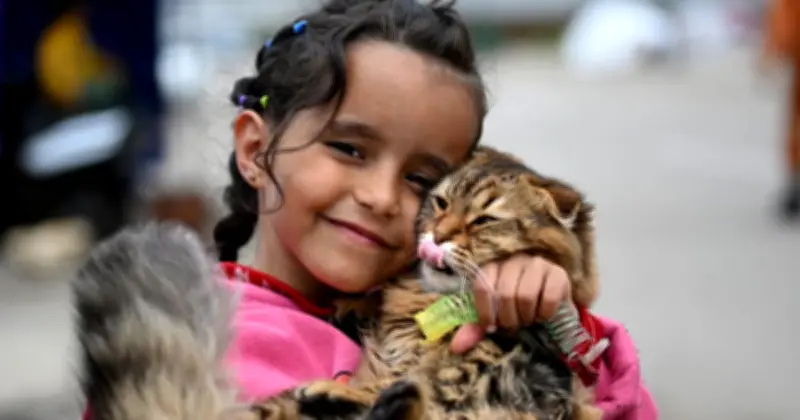 ইসরায়েল-লেবানন যুদ্ধবিরতি তিন সপ্তাহ বাড়িয়েছে ট্রাম্প