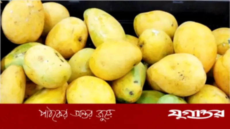 ডায়াবেটিস থাকলেও আম খাওয়া যায়, জেনে নিন সঠিক নিয়ম