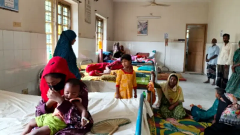 চুয়াডাঙ্গায় নিশ্চিত হামে ৯ মাস বয়সী শিশুর মৃত্যু, লোডশেডিংয়ে বিপর্যস্ত জনজীবন