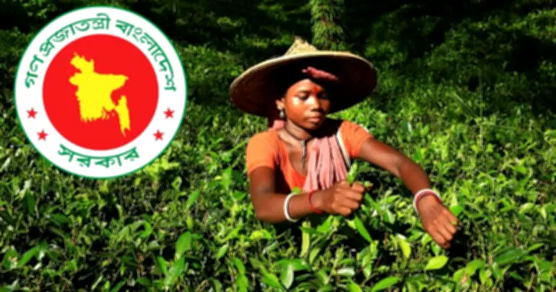 জাতীয় চা দিবসের তারিখ পরিবর্তন, এখন ২১ মে পালিত হবে