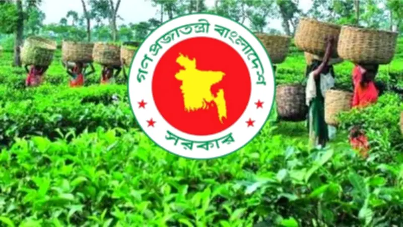 জাতীয় চা দিবসের তারিখ পরিবর্তন, আইনমন্ত্রী জুলাই সনদে প্রতারণার অভিযোগ