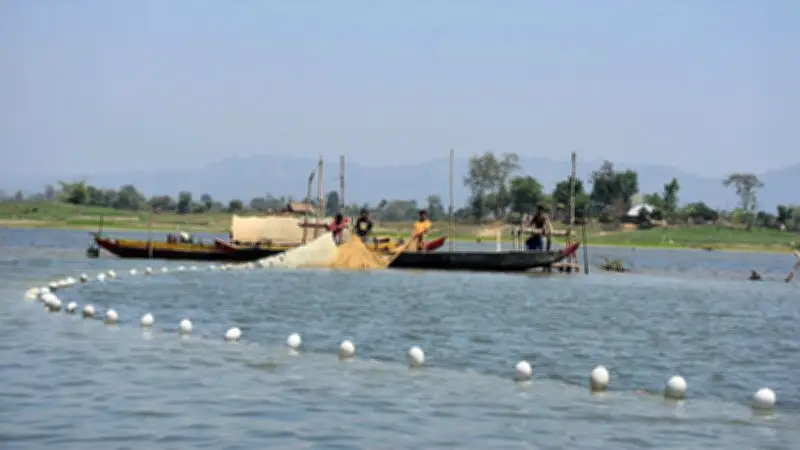 মধ্যরাত থেকে কাপ্তাই হ্রদে মাছ শিকার বন্ধ, ইরানের ফি নেওয়ার সিদ্ধান্ত