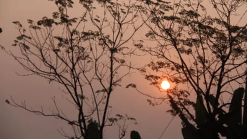 একঝলকে দিনের নানা মুহূর্ত: ১৯টি ছবিতে ২৪ এপ্রিল