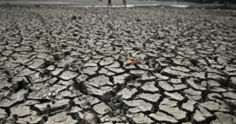 এল নিনো ফিরছে ২০২৬ সালের মাঝামাঝি, বিশ্ব উষ্ণতার রেকর্ড ভাঙার আশঙ্কা