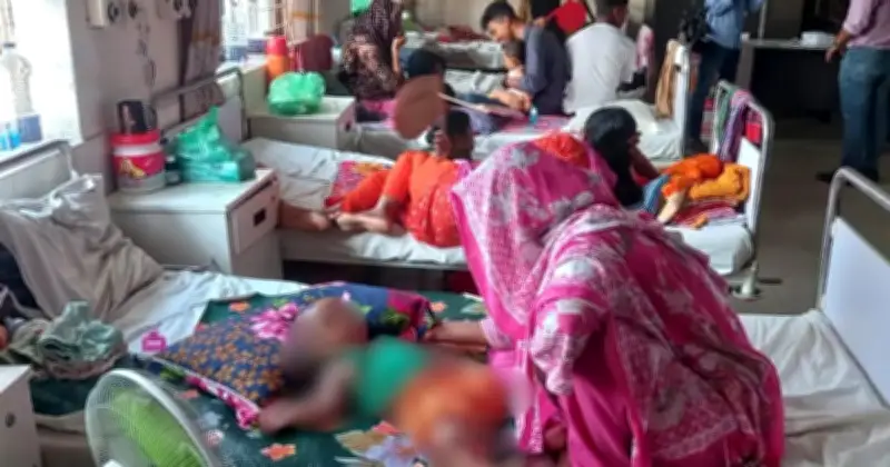 ২৪ ঘণ্টায় হামে আরও সাত শিশুর মৃত্যু, আক্রান্ত ১৭২