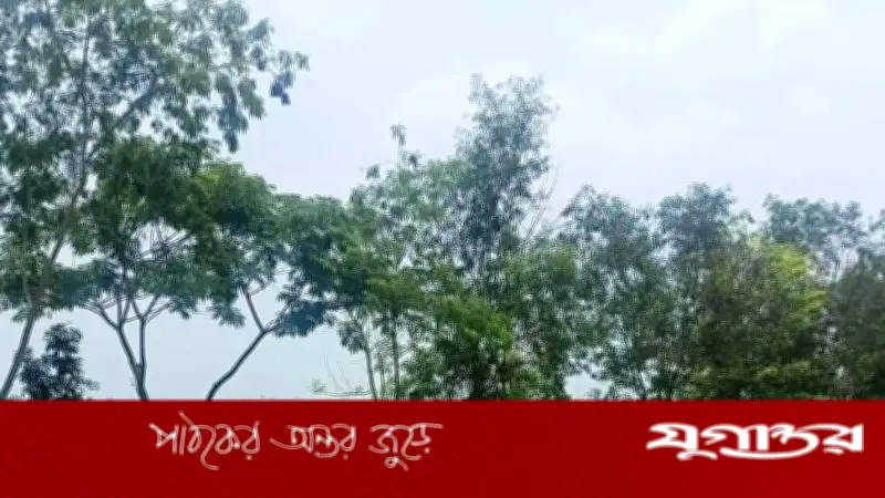 কুমিল্লায় রেললাইনে গাঁজা সেবন করে ট্রেনে কাটা পড়ে যুবকের মৃত্যু