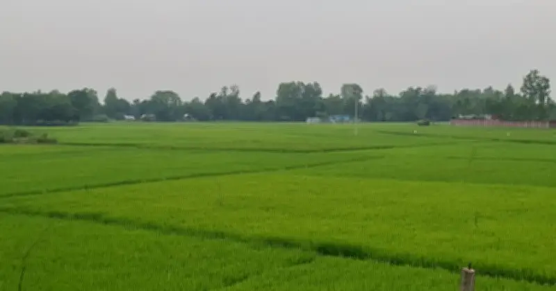 টাঙ্গাইলে তীব্র লোডশেডিংয়ে জনজীবন বিপর্যস্ত