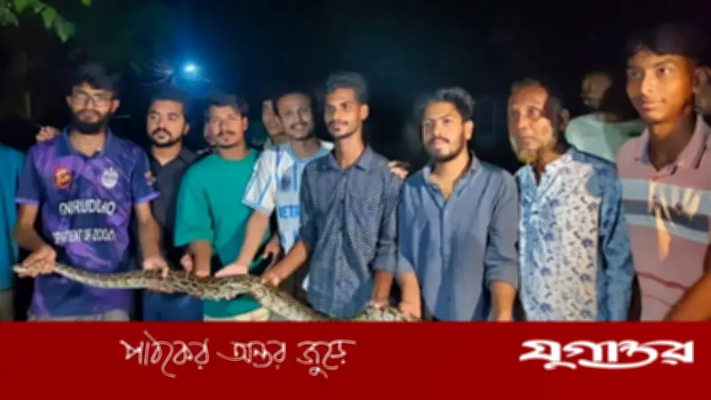 চট্টগ্রাম বিশ্ববিদ্যালয়ে ৮ ফুট দীর্ঘ অজগর উদ্ধার