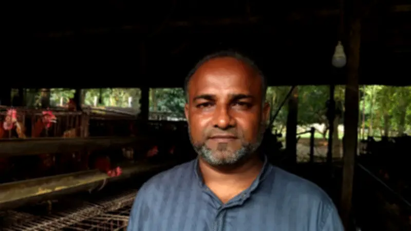 জ্বালানি সঙ্কটে পোলট্রি খামারিরা হিমশিম, ডিম উৎপাদন কমে যাচ্ছে