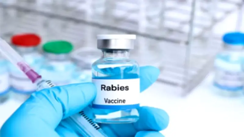 জলাতঙ্ক টিকার সংকট ও মজুত নিয়ে বিভ্রান্তি