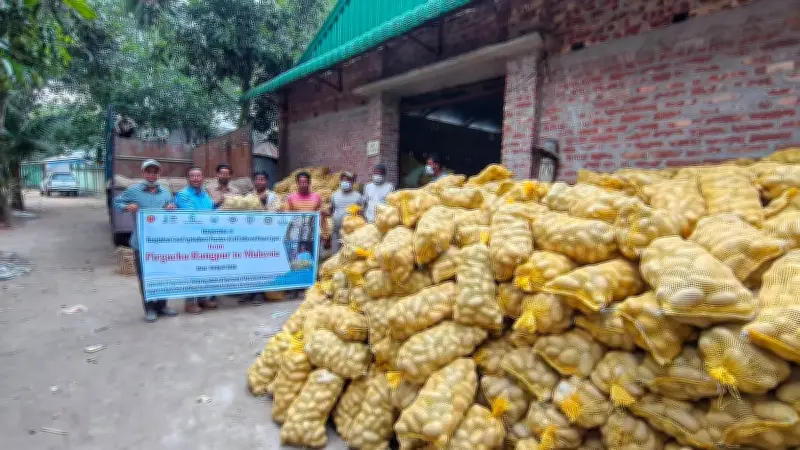 রংপুরে আলু উৎপাদন বাড়লেও রপ্তানিতে পিছিয়ে