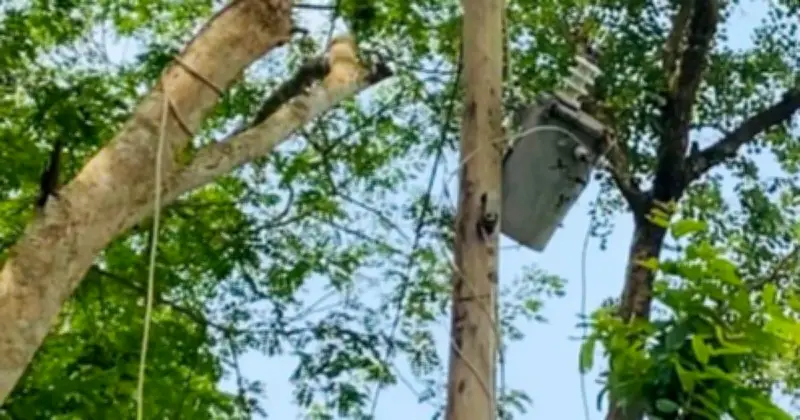 পিরোজপুরে ট্রান্সফরমার চুরি করতে গিয়ে যুবকের মৃত্যু