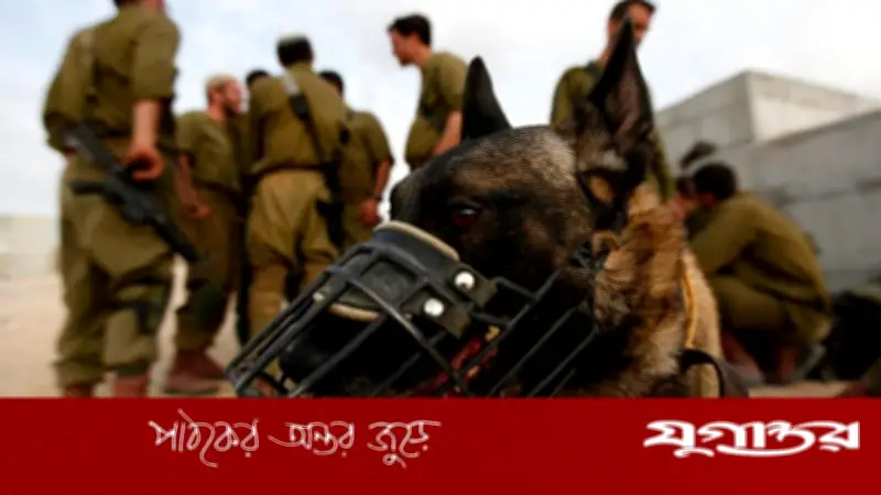 ইসরাইলের কারাগারে কুকুর দিয়ে ফিলিস্তিনি বন্দি ধর্ষণের ভয়াবহ তথ্য