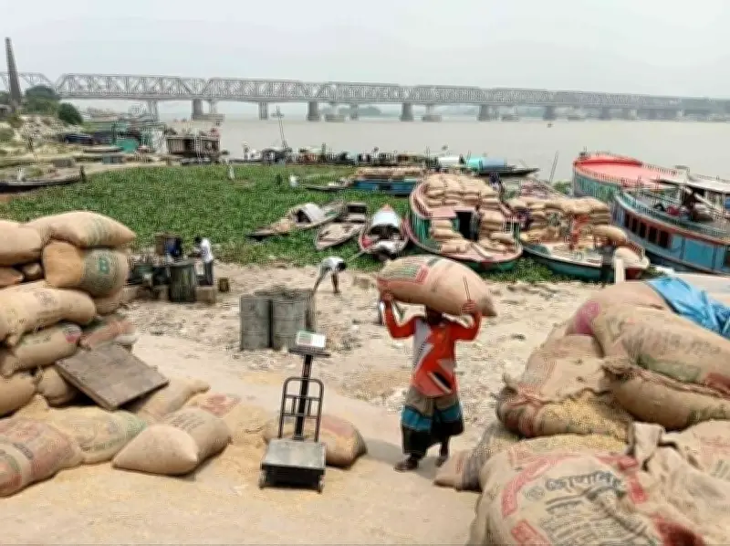 ভৈরব মোকামে ধানের দাম কমছে, কৃষকেরা হতাশ