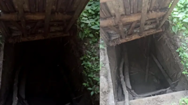 ঢাকা-শিলিগুড়ি বাস সার্ভিস চালু, দুই দেশের সম্পর্ক জোরদার হবে