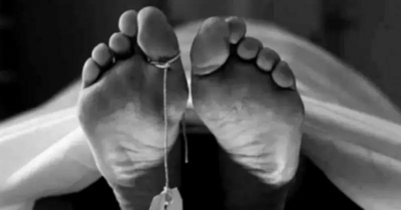 খুলনায় ধান কাটা নিয়ে সংঘর্ষে নিহত ১, আহত ৪