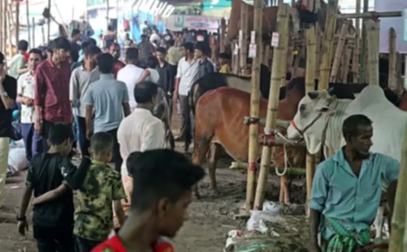 চট্টগ্রামের সাগরিকা পশুর হাটের ইজারা নিয়ে অনিশ্চয়তা কাটল