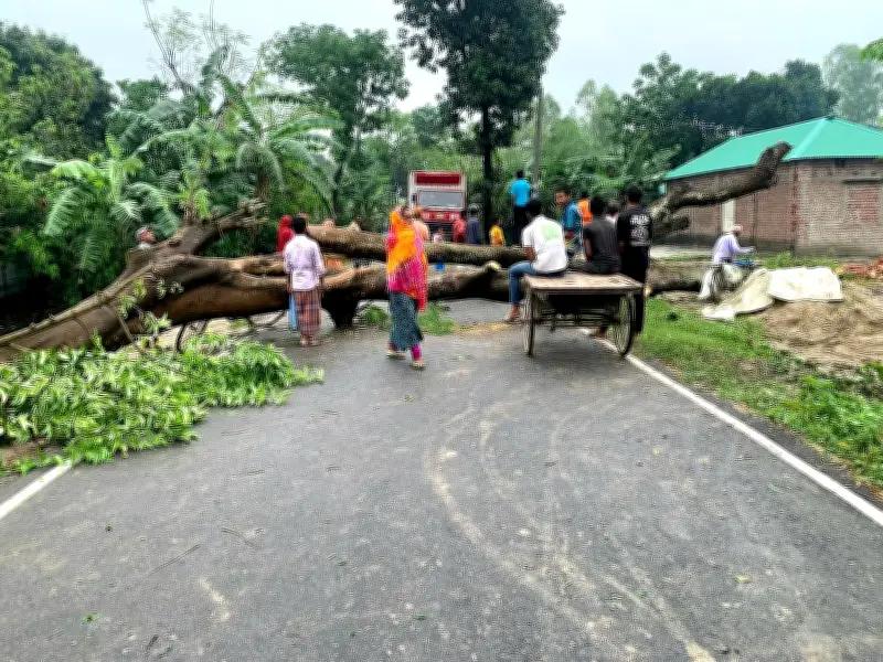 ঠাকুরগাঁওয়ে ঝড় ও শিলাবৃষ্টিতে ফসলের ব্যাপক ক্ষতি