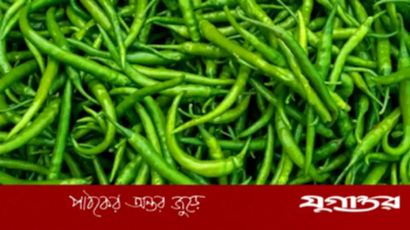 ভারত থেকে ২৮ টাকায় মরিচ আমদানি, দেশে বিক্রি ৩০০ টাকা