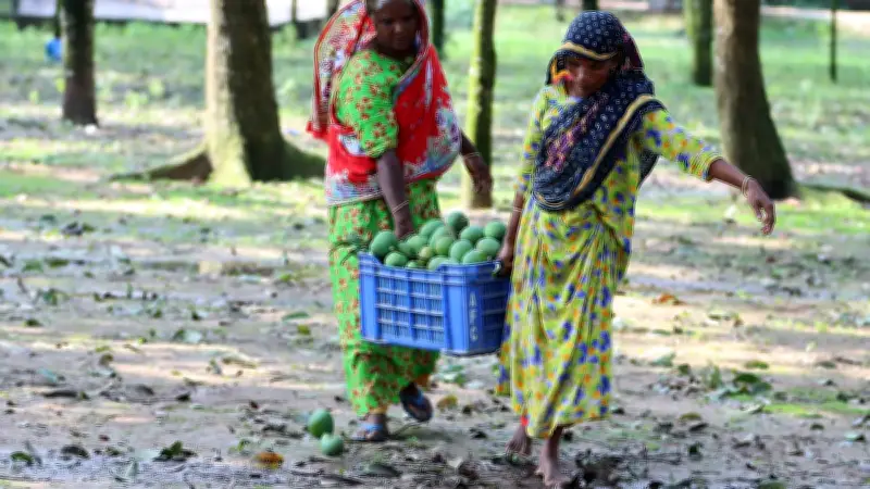 আম চাষে নারীর ক্ষমতায়ন বিপন্ন: ধানভিত্তিক অর্থনীতি ভাঙছে