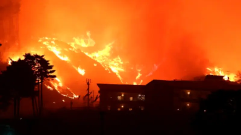 জাপানে ভয়াবহ দাবানল, সরে যাওয়ার নির্দেশ ৩ সহস্রাধিক মানুষকে