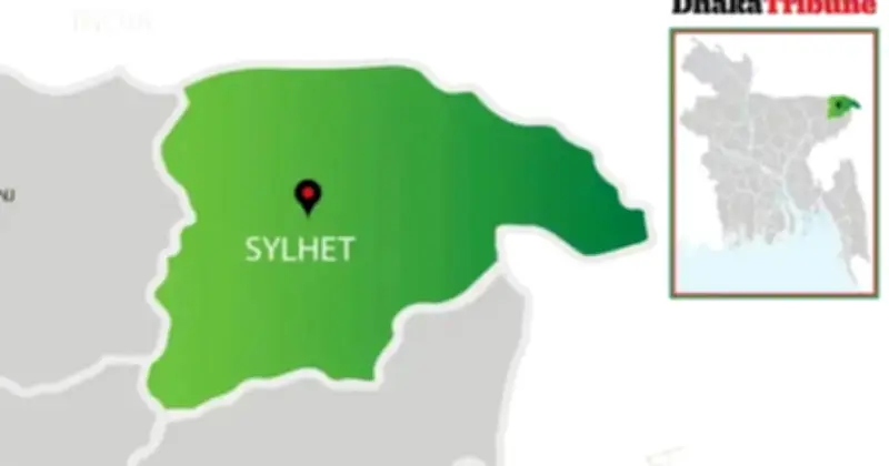 সিলেটে আরও ২ শিশুর মৃত্যু, মৃতের সংখ্যা ১০