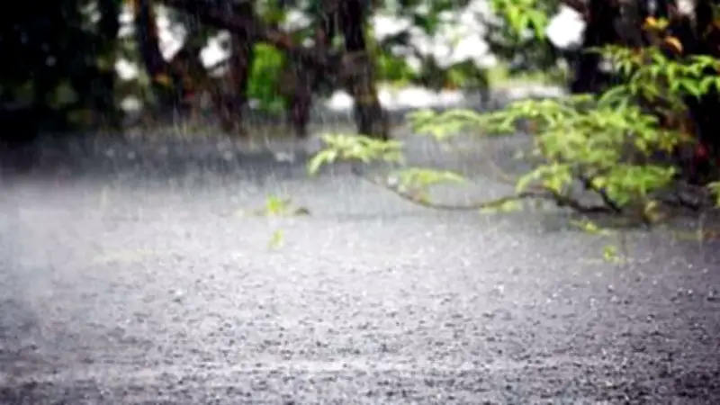 আট বিভাগে ঝড়-বৃষ্টির সম্ভাবনা, তাপপ্রবাহ কমবে